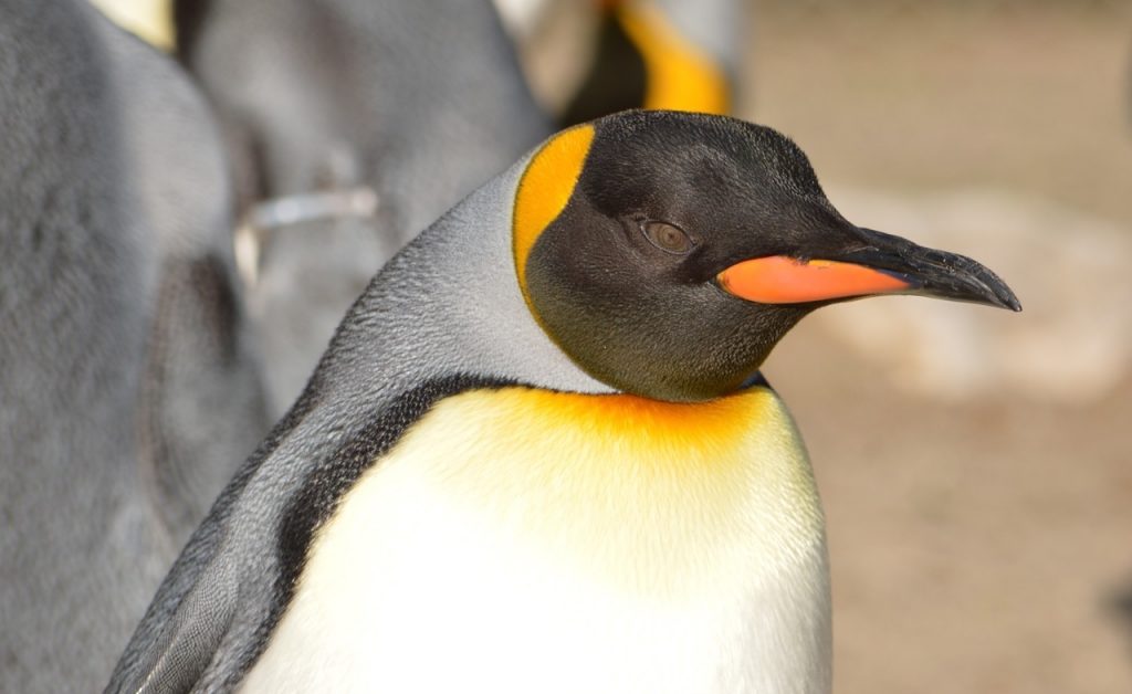 Server administration course: Part 1 – Managing a Linux Server